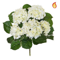 Plants Cream Hydrangea Bush 45cm FR-S1