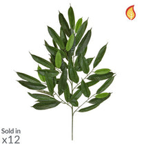 Foliage Fat Longifolia 95cm FR-S1