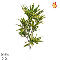 Foliage Dracaena Reflexa 85cm FR-S1