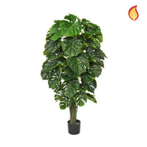 NTT Monstera 150cm FR-S2