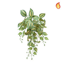 I & T Tradescantia Green PI 55cm FR