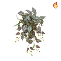 I & T Tradescantia Purple PI 55cm FR