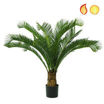 Palm Cycus 95cm FR UV-S1