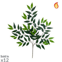 Foliage French Ficus 70cm FR-S1