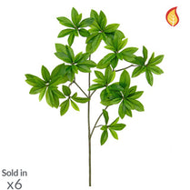 Foliage Euonymus Japonicus 55cm FR-S1