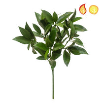 Foliage Bay Laurel 51cm FR UV-S1