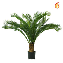 Palm Cycus DB 95cm FR