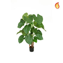 NTT Alocasia Tree 120cm FR-S1