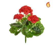 Plants Flowering Geranium  Red 23cm FR-S1