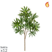 Foliage Podocarpus Green 55cm FR-S1