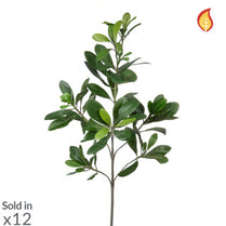 Foliage Pittosporum Green 56cm FR-S1