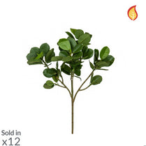 Foliage Ficus Panda Top Spray 37cm FR-S1