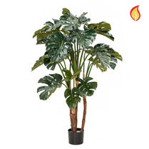 NTT Monstera 140cm FR-S10