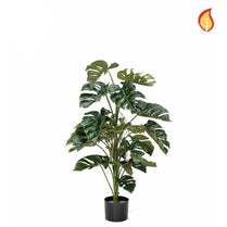 NTT Monstera 120cm FR-S10