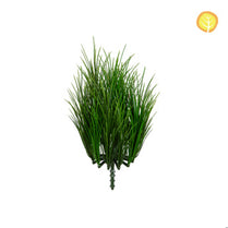 Plants Acorus Green 30cm UV S13