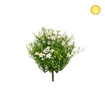 Plants Baby's Breath White 27cm UV S13