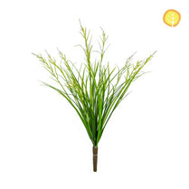 Plants Acoras Bush 47cm UV S13