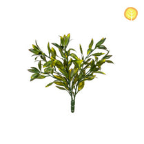 Plants Magnolia 39cm UV