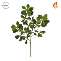 Foliage Olive Black 64cm FR-S1