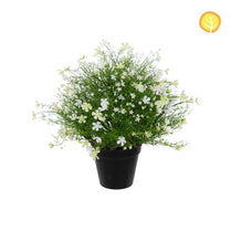 Plants Baby's Breath White in Pot HL 47cm UV