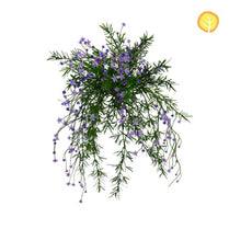 I & T Baby's Breath Purple White Mix HL 42cm UV