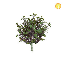 Plants Sage Bush HL 27cm UV