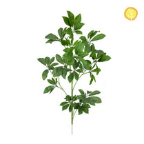 FS Schefflera Spray HL 90cm UV