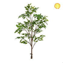 NTT Ficus HL 120cm UV