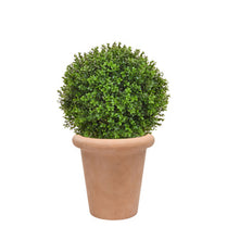 AN Buxus Ball in Ravello Pot  68cm UV