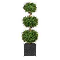 AN Buxus Triple Ball in Grantio Pot 165cm UV