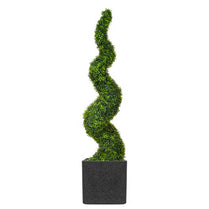 AN Boxwood Spiral in Grantio Pot 170cm UV