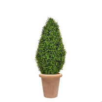 AN Buxus Tower in Ravello Pot 130cm UV