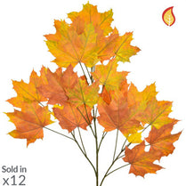 Foliage Maple North American Red 80cm FR-S1