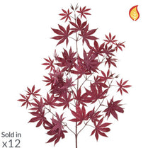 Foliage Maple Burgundy 70cm FR-S1