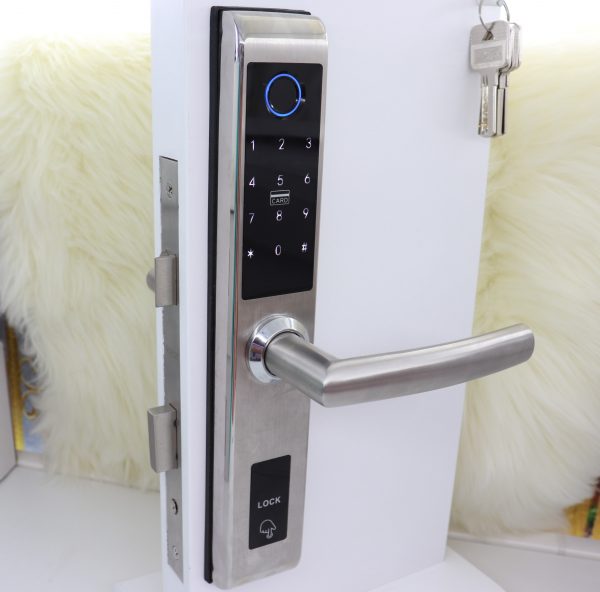 VILA Smart Lock, D019 SN ,With WiFi Tuya App, Display screen,Keypad Digital,Biometric Fingerprint,IC Card,Mechanical key Unlock for Apartment Hotel Home Use. COLOR: (SILVER) by Vilalock | Souqify