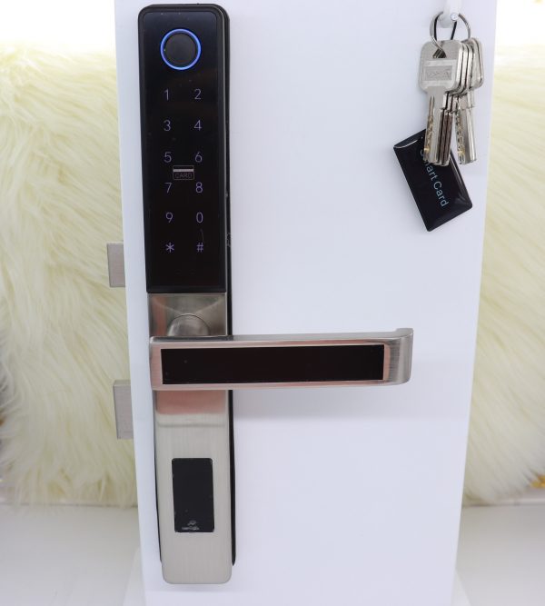 VILA Smart Lock, D09 SN ,With WiFi Tuya App, Display screen,Keypad Digital,Biometric Fingerprint,IC Card,Mechanical key Unlock for Apartment Hotel Home Use. COLOR: (BLACK+SILVER) by Vilalock | Souqify