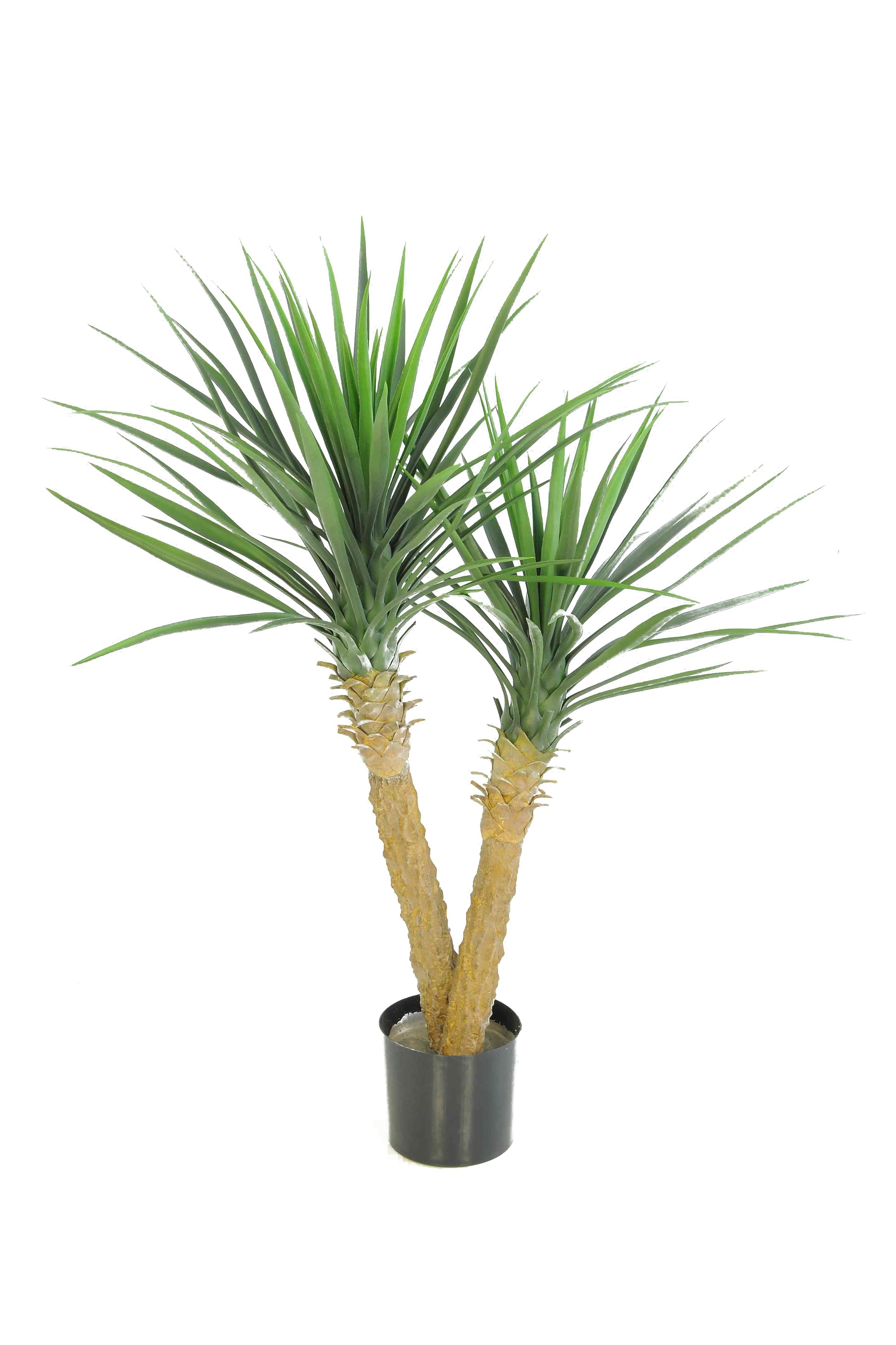 Yucca - 100cm by Foliages | Souqify
