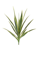 Yucca - 59cm by Foliages | Souqify