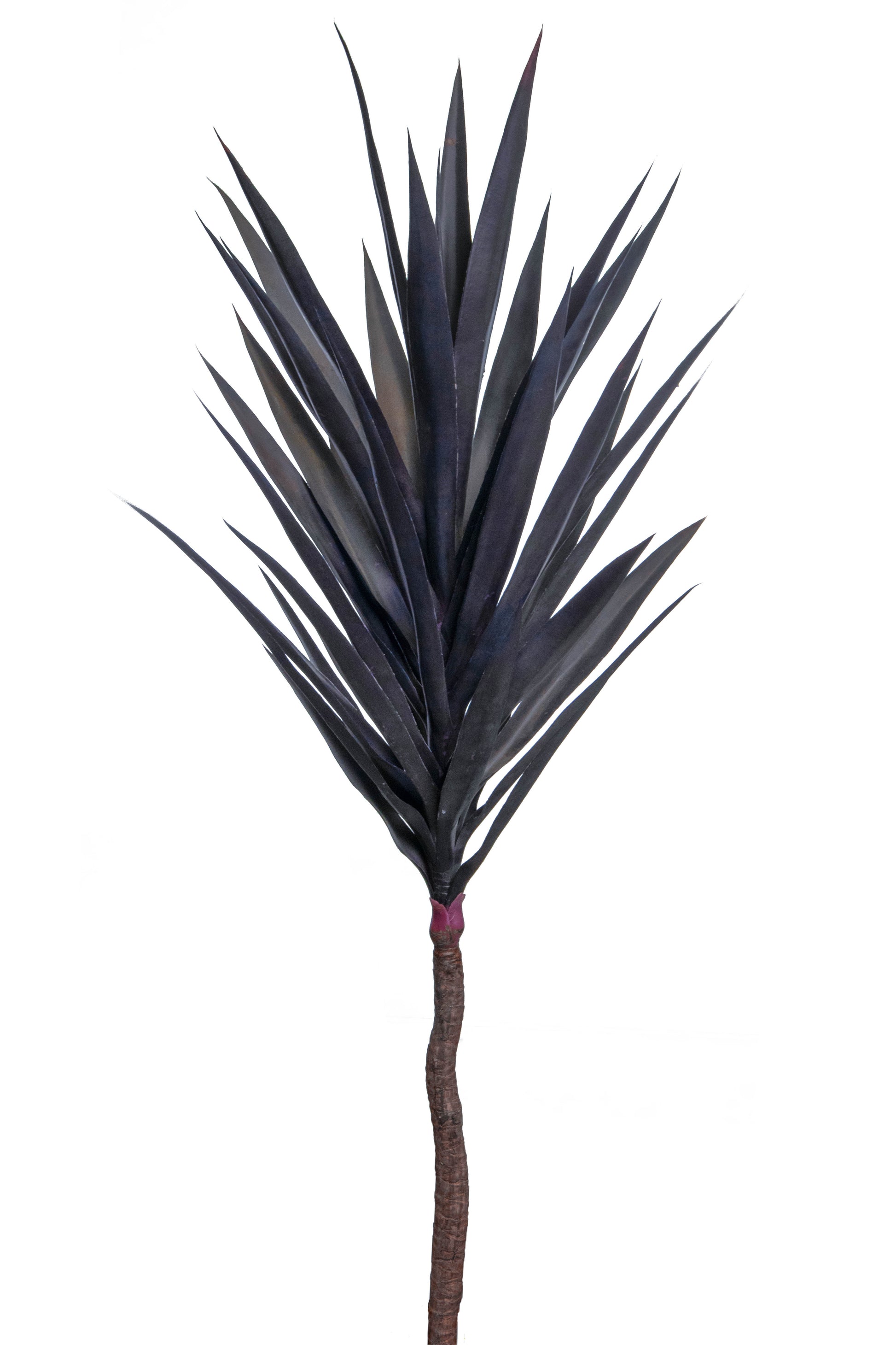 Yucca Stem - 120cm by Foliages | Souqify