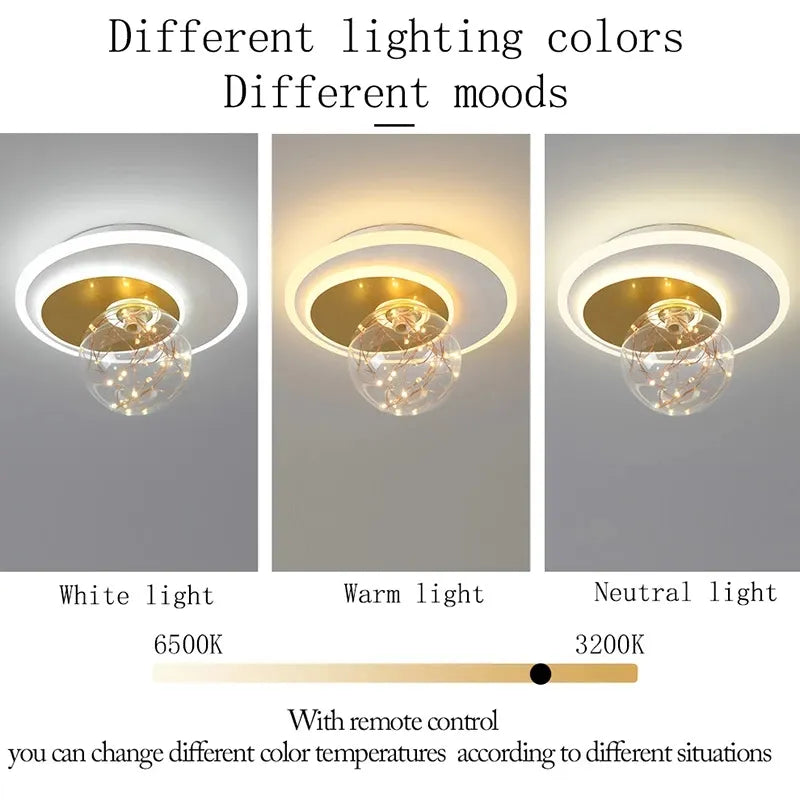 Modern Ceiling Lamp Gypsophila Metal+Glass Aisle Porch Corridor Balcony Living Room Bedroom Indoor Lighting Home Decor