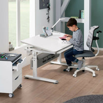 PAIDI - Sino 2 Ergonomic Chair