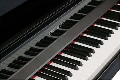 Kurzweil CUP1