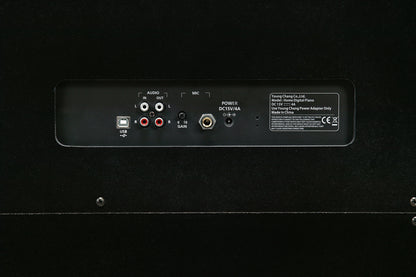 Kurzweil CUP1